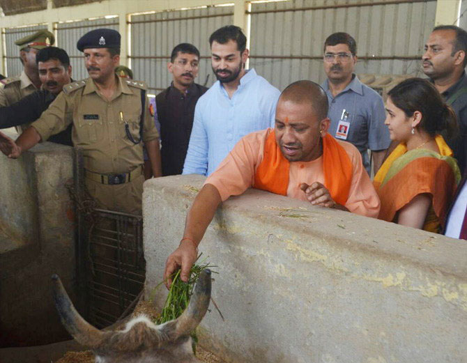 UP CM Yogi Adityanath visits Gau Shala Kanha Upvan in Lucknow 