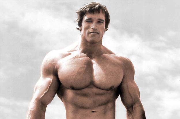 Arnold Schwarzenegger 