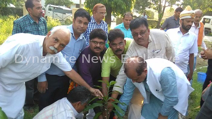 प्रदेश सरकार के मंत्री राजेंद्र सिंह वृक्षारोपण करते