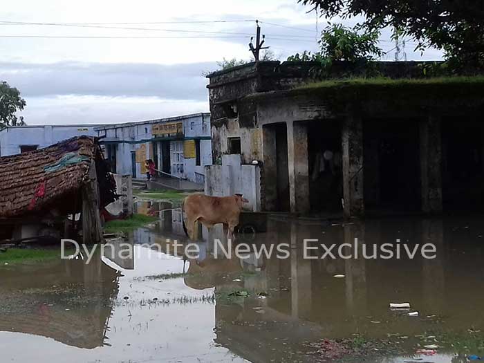 बारिश के कारण बागपार स्कूल परिसर जलमगन