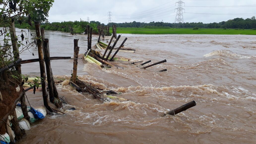 Flood in Assam