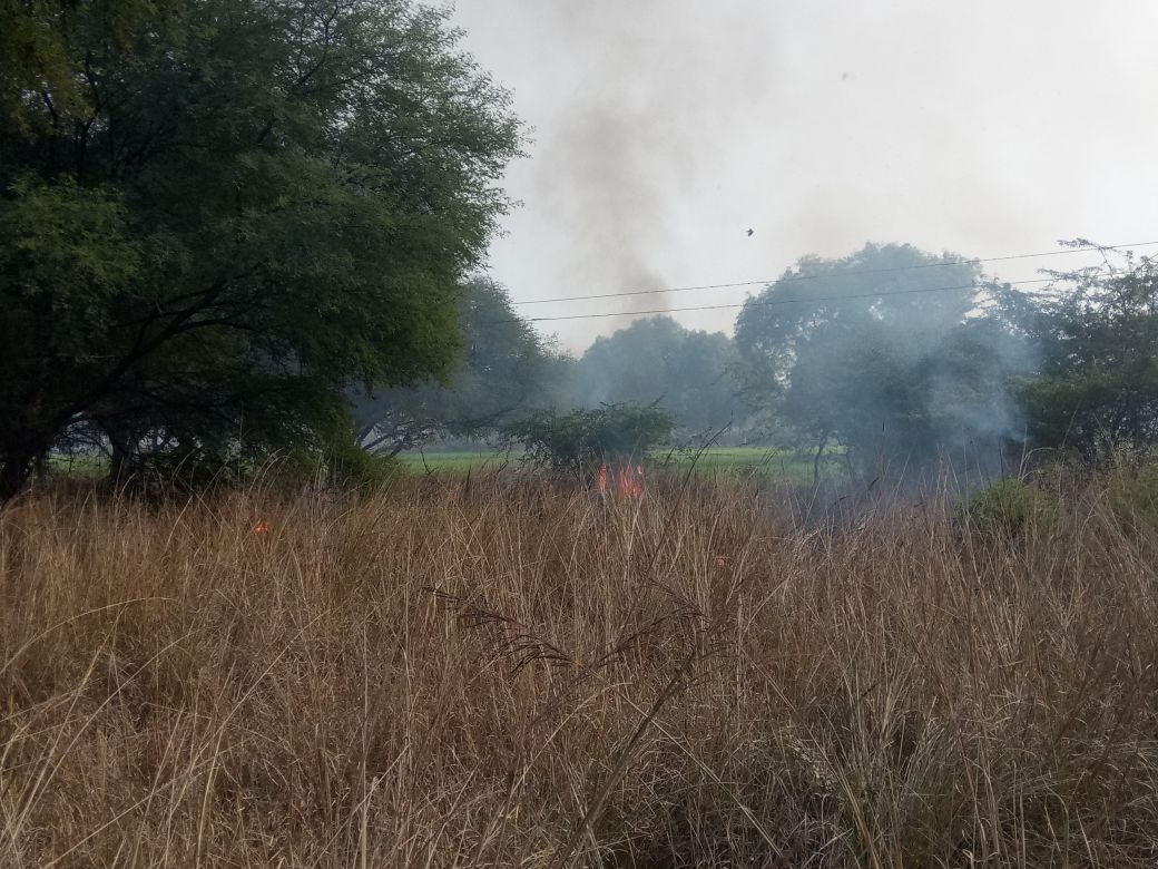 हाइटेंशन तार गिरने के बाद लगी खेतों में आग