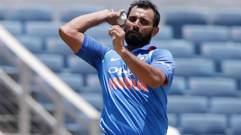 Mohammed Shami (File Photo)