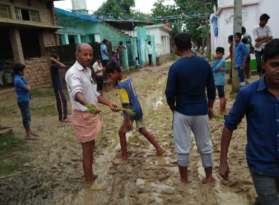 सड़क पर धान रोपाई करते ग्रामीण