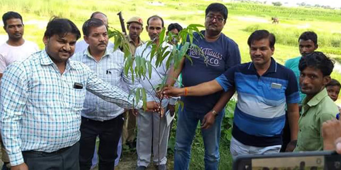 पौधरोपण करते कर्मचारी