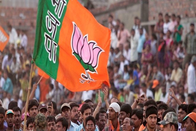 BJP flags