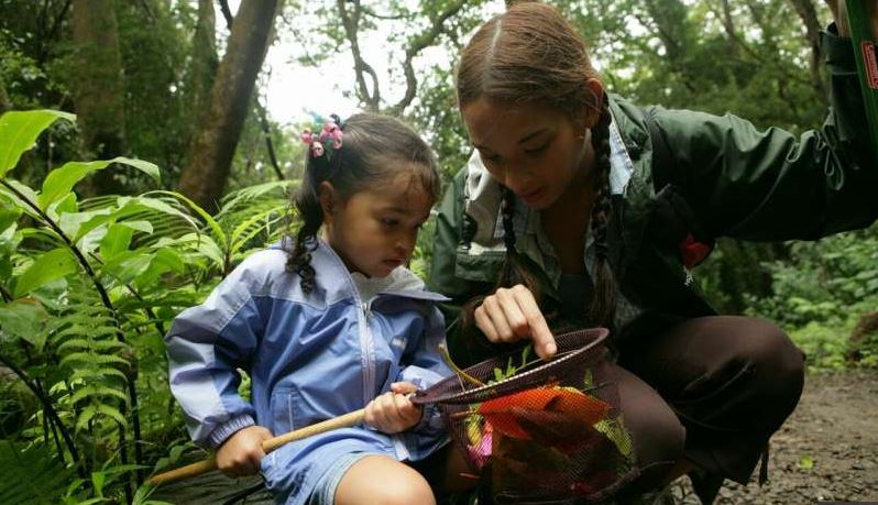 Nature boosts learning abilities of children