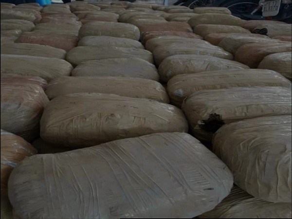 Cannabis seized in Hyderabad