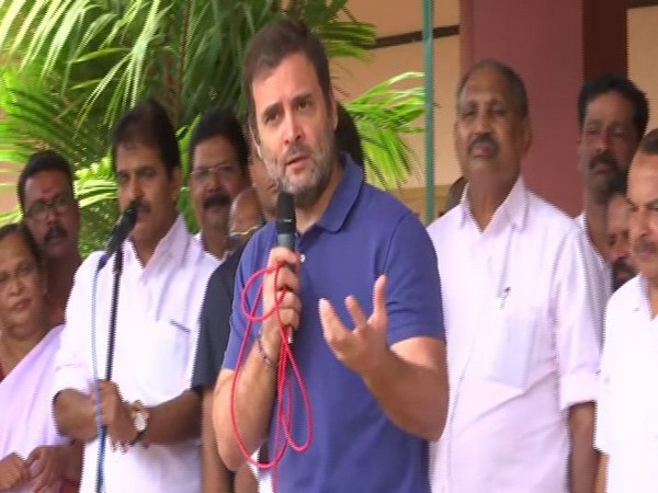 Congress MP from Wayanad, Rahul Gandhi