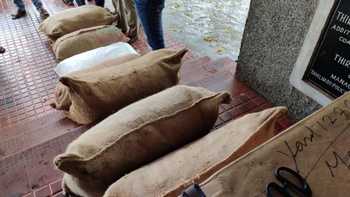 Over 300 kg of sea cucumber seized