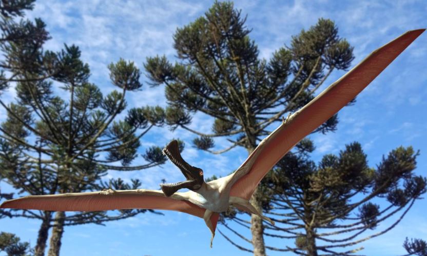 Australian Cretaceous Period pterosaur Ferrodraco lentoni