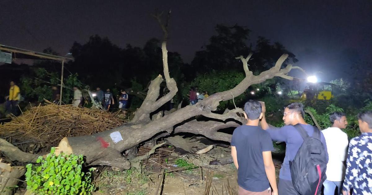 Tree cutting under way in Mumbai's Aarey Colony