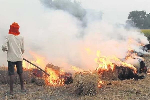 पराली जलाने पर नोटिस