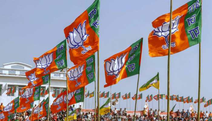 BJP flags