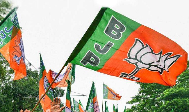 BJP flags