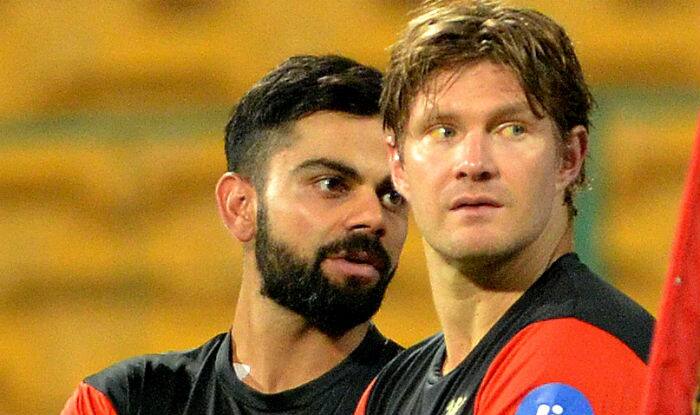 Virat Kohli and Shane Watson