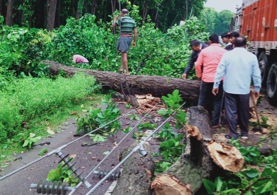 राजमार्ग और लाइन को ठीक करते कर्मचारी