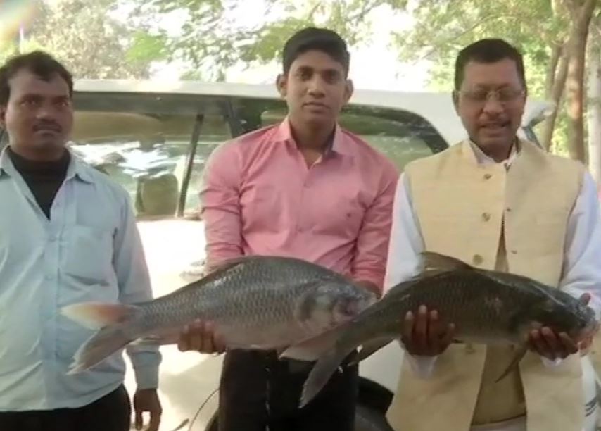 Visual from outside RJD leader Tejashwi Yadav's residence in Patna