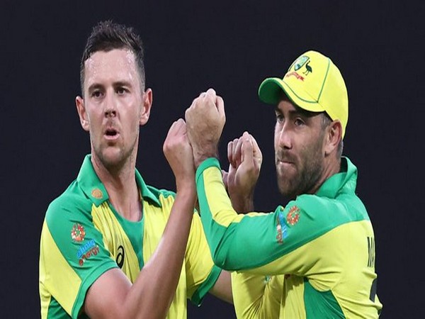 Josh Hazlewood and Glenn Maxwell in action against India in second ODI