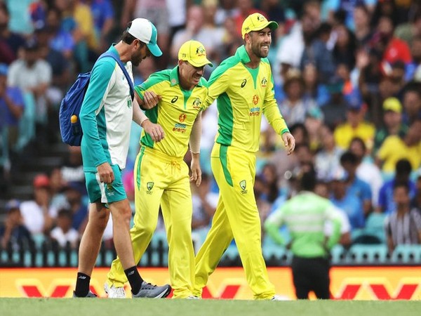 Australian batsman David Warner being assisted out of the field