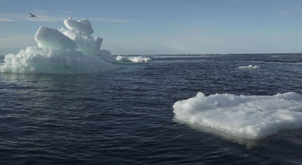 Floating ice is seen during the expedition of the The Greenpeace's Arctic Sunrise ship at the Arctic Ocean