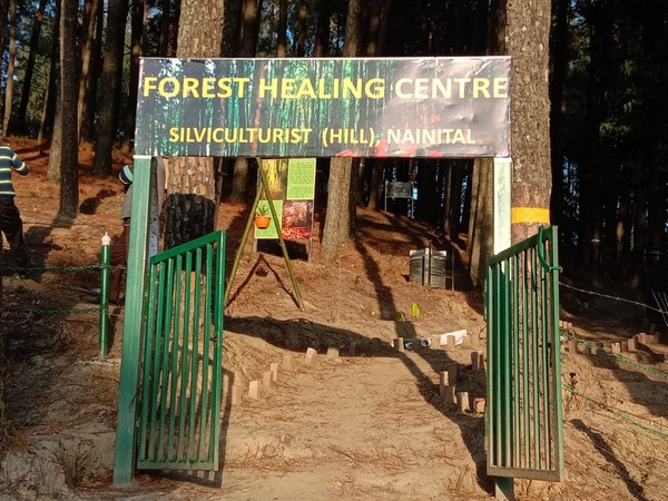 healing centre spread over an area of around 13 acres