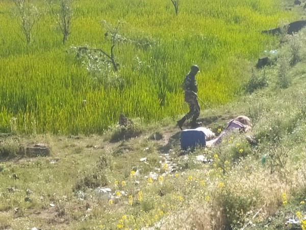 Bomb disposal squad inspecting the bag