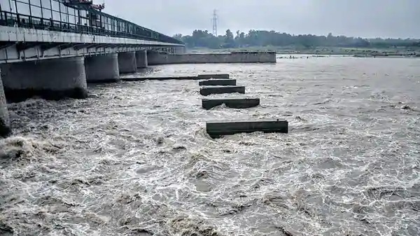 Yamuna river