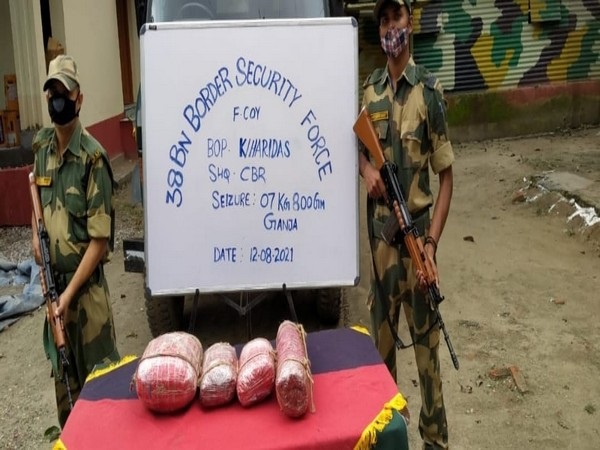 BSF seizes 9.8 kg cannabis