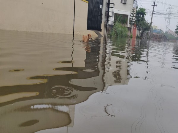 Visual from Coimbatore, Tamil Nadu