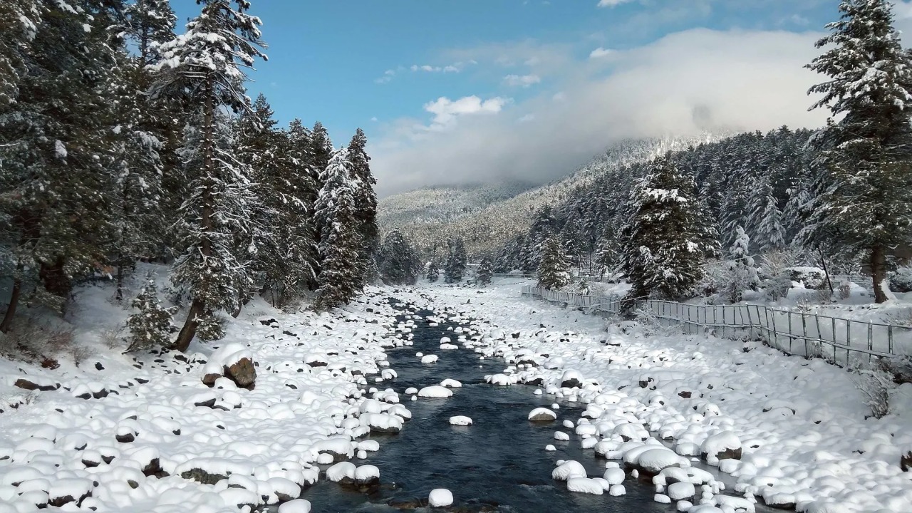 Snowfall in Shimla