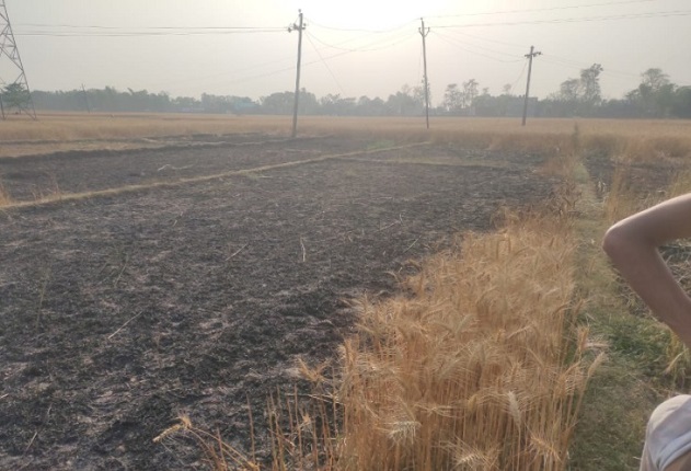 कोल्हुई क्षेत्र में फसल जलकर खाक