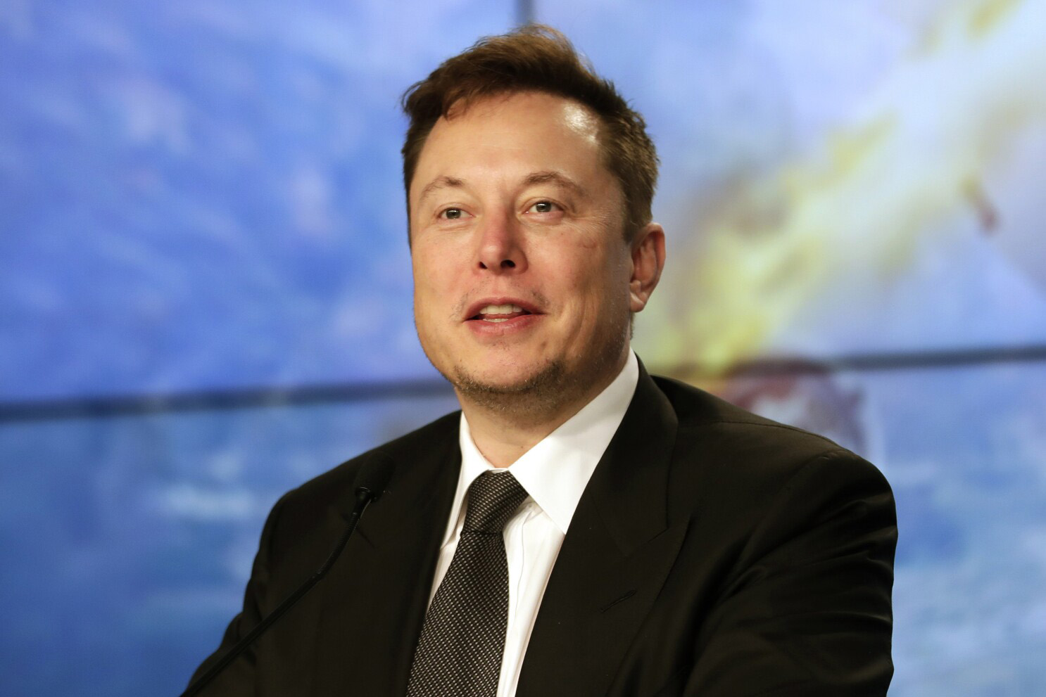 Tesla CEO Elon Musk (File Photo)