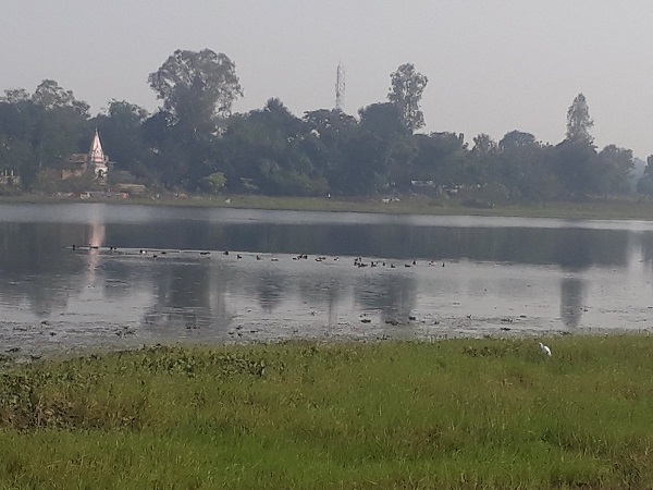 अमृत सरोवर योजना के तहत 50 तालाबों पर काम शुरू (फाइल फोटो)