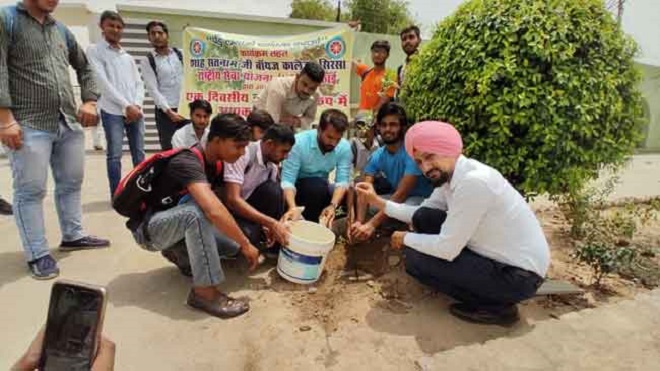 ग्लोबल वार्मिंग के खतरे को कम कर सकतें है पेड़-पौधे  (फाइल फोटो )