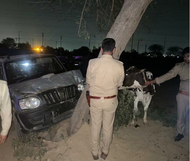 मुठभेड़ में घायल दो गौ-तस्कर गिरफ़्तार