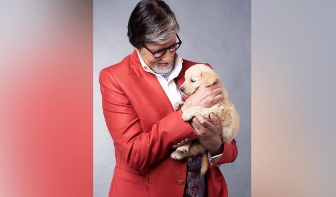 Amitabh Bachchan with his pet dog