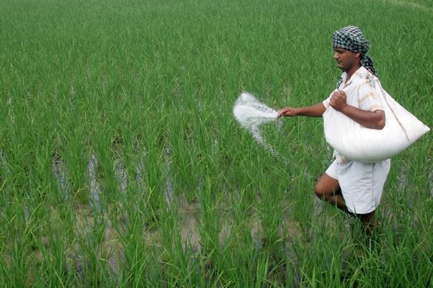 महराजगंज में किसानों को खुलेआम लूट रहे खाद विक्रेता (फाइल फोटो)