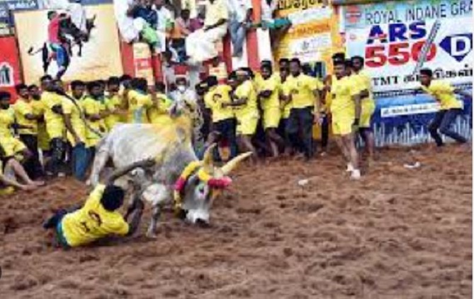 अलंगनल्लुर में जल्लीकट्टू शुरू (फाइल फोटो)