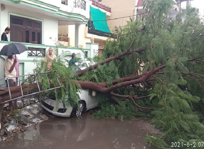 बारिश तेज हवाओं से पेड़ उखड़े