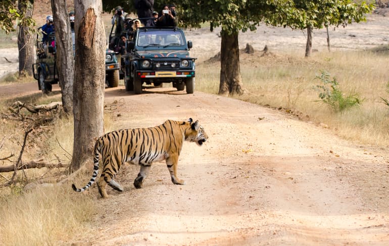 अरुणाचल प्रदेश के नमदाफा राष्ट्रीय उद्यान एवं बाघ अभयारण्य