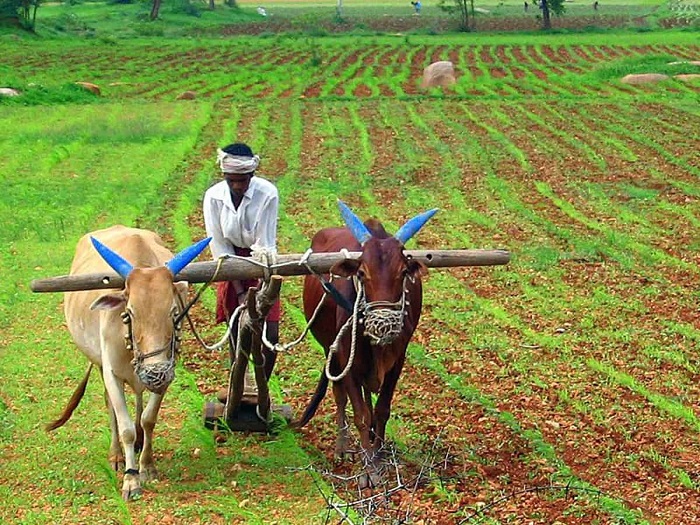 किसानों से चार करोड़ रुपये की ठगी