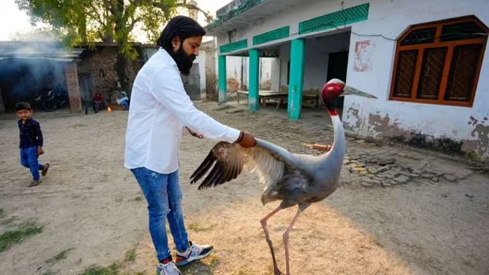 आरिफ की मुश्किलें बढ़ी