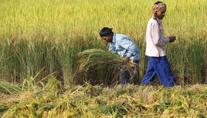 किसानों के कर्ज भुगतान पर पंजाब सरकार ने लगाई रोक