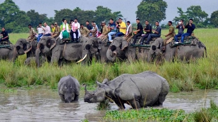 राष्ट्रपति की यात्रा के दौरान काजीरंगा का कुछ हिस्सा पर्यटकों के लिए बंद रहेगा