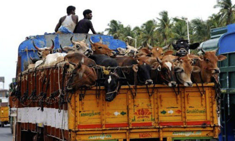 गो-रक्षकों ने कथित रूप से हत्या की