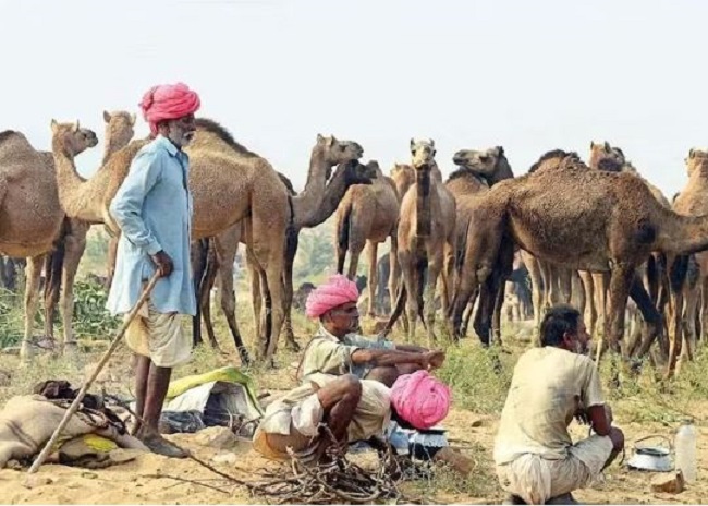 राजस्‍थान में मौसम शुष्‍क रहने का अनुमान