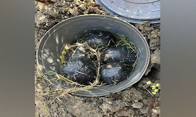 Police have recovered bombs at Metro Vihar Chowki in New Delhi