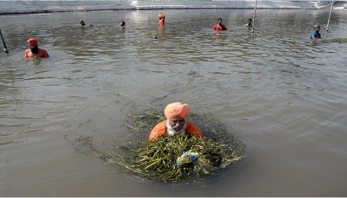 गुरु नानक देव से जुड़ी नदी में जल्द बहेगा साफ पानी