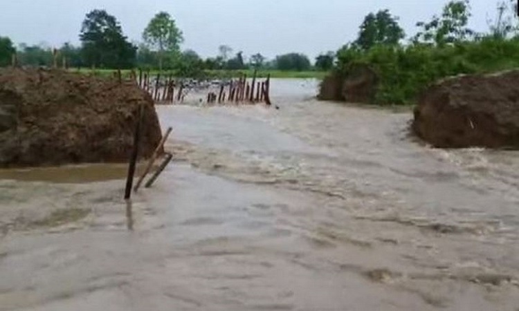 Visuals of flood situation in Assam